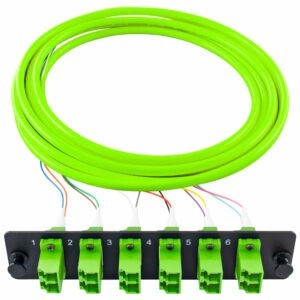 PiggyPak – OM5 24 Fiber (FPP-AD-L5Q-06-T12)