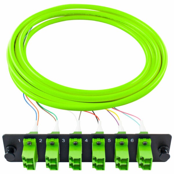 PiggyPak – OM5 24 Fiber (FPP-AD-L5Q-06-T12)