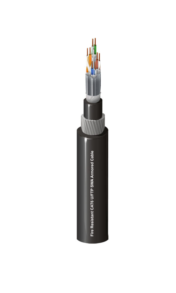 Category 6 Cable