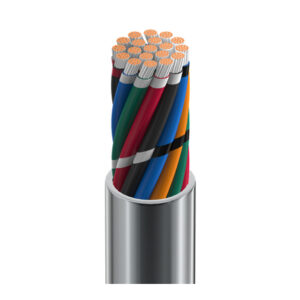 8619 - Electronic, 19 C #18 Str TC, PVC Ins, PVC Jkt, CMG