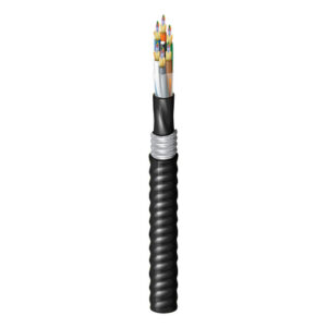 FD1D096FK - Indoor/Outdoor Riser OM1 Distribution 96Fibers Aluminum Interlocked