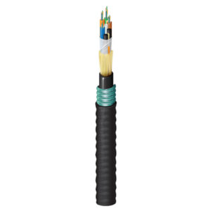FD1H0245F - Indoor/Outdoor Riser Heavy Duty Loose Tube OM1 24 Fibers