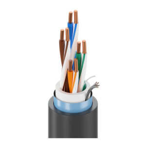 7953A - DataTuff® Cat 6, 4 Bonded-Pr #23 Sol BC, PO Ins, OS, PVC Jkt, PVC Jkt, MSHA, CMX-Outdoor 600V AWM 21047