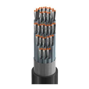 62P1624 - Inst PVC/PVC, 24 Pr #16 Str BC, PVC-NYL Ins E1, IS/OS, Blk PVC Jkt, TC-ER NPLF 90C Dry 75C Wet