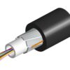 Cable