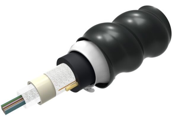 Cable