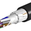 Cable