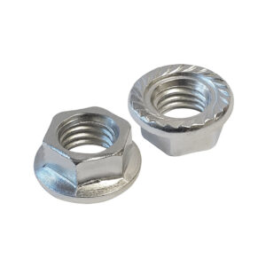 FLANGED HEX NUT