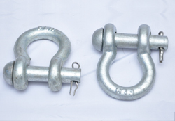 Anchor Shackle