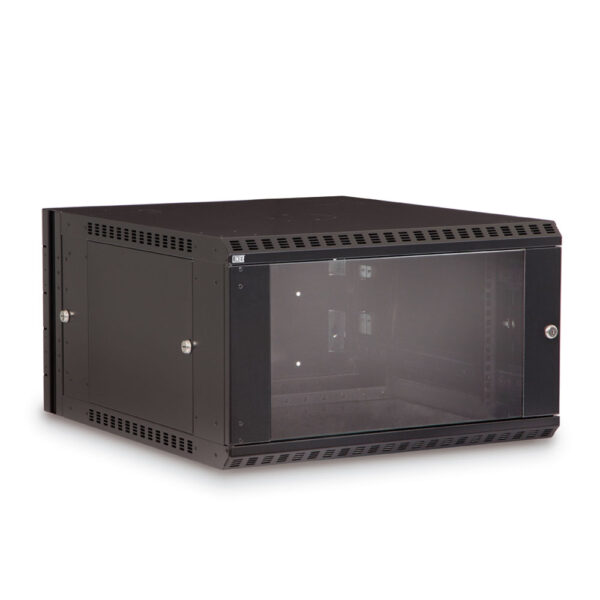 6U LINIER® Swing-Out Wall Mount Cabinet - Glass Door