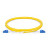 Indoor Fiber Connectivity