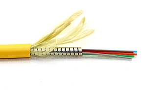 Singlemode 6 Strand Indoor Tight Buffer Plenum Bulk Cable