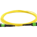 Armored Cable