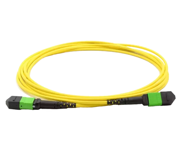 Armored Cable