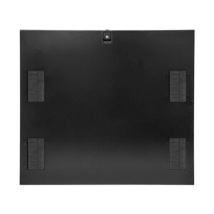 Side Panel w/Pass-Through Holes & Brush Panels, 42U x 1067