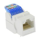 CAT6 Tool Less Keystone Jack White - Image 3