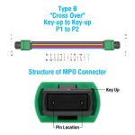 10m Singlemode MPO F/F 12-Fiber Type B 3mm Fiber Optic Cable - Image 4