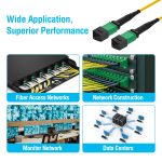 10m Singlemode MPO F/F 12-Fiber Type B 3mm Fiber Optic Cable - Image 3