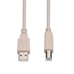 10Ft A-Male to B-Male USB2.0 Cable Ivory - Image 2