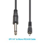 10Ft 1/4" Mono Plug/RCA Male Cable - Image 2